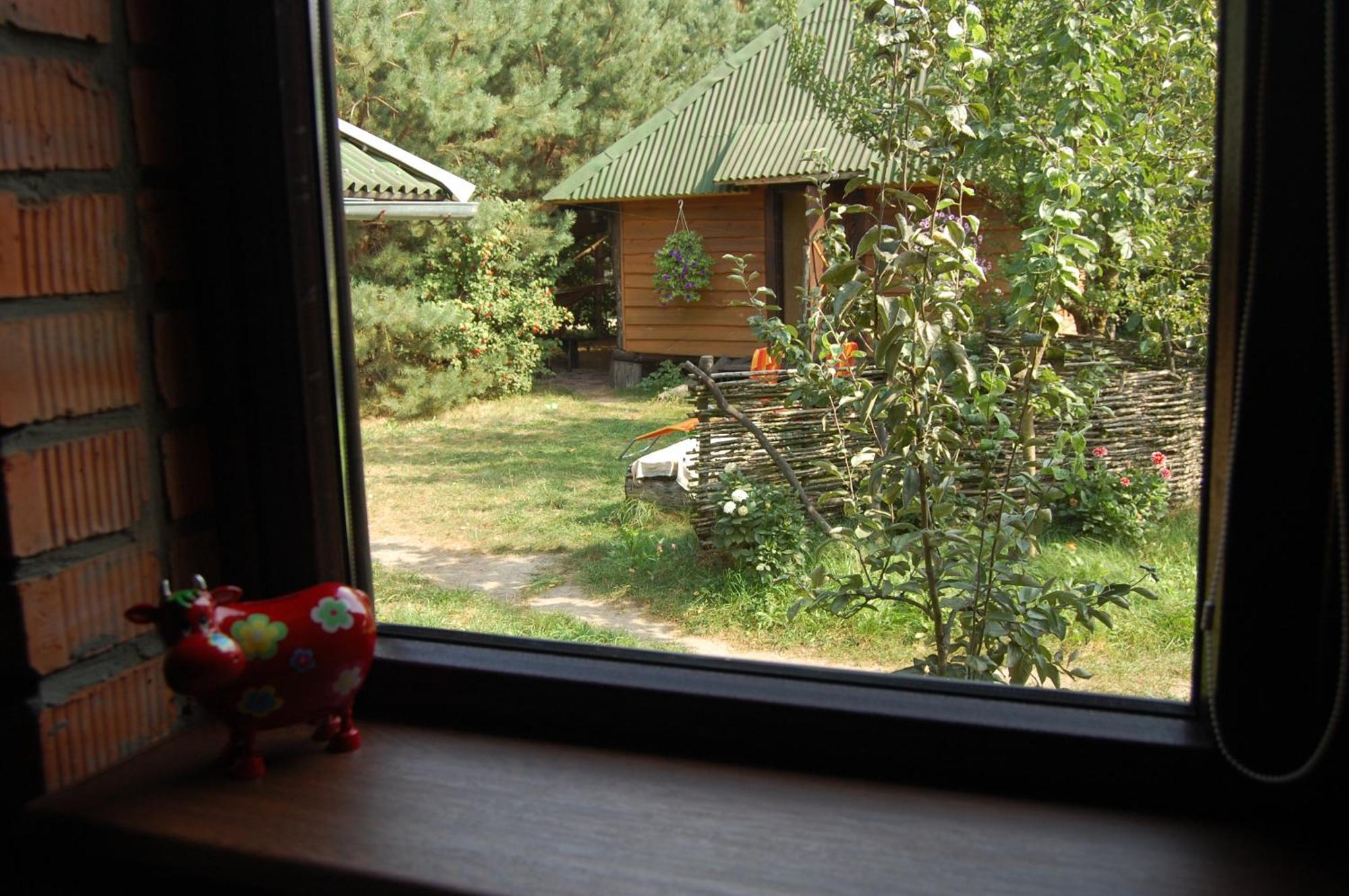 Apartamento Zelenyi Rai Svityaz' Habitación foto